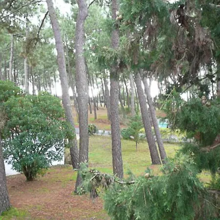 Maison De Avec Animaux Admis A La Palmyre - Fr-1-705-54 *