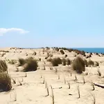 Σπίτι διακοπών Maison De Vacances Avec Animaux Admis A La Palmyre - Fr-1-705-54